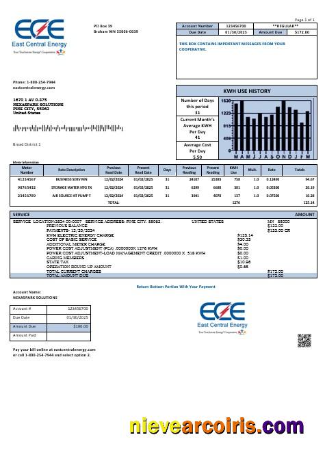 USA Minnesota East Central Energy business utility bill